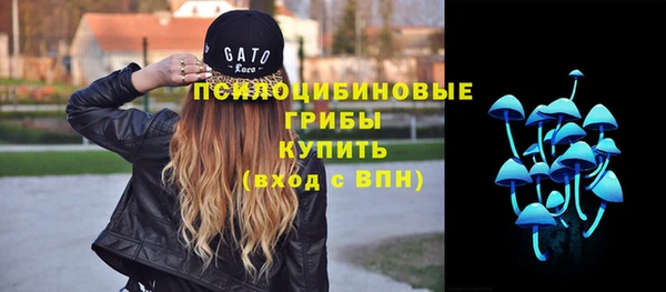тгк Белокуриха
