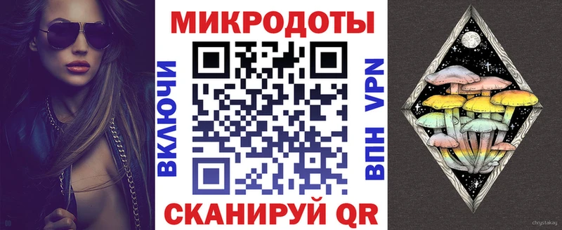 Псилоцибиновые грибы Psilocybe  Михайлов 